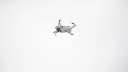 فورتكس كازينو تطبيق الهاتف المحمول